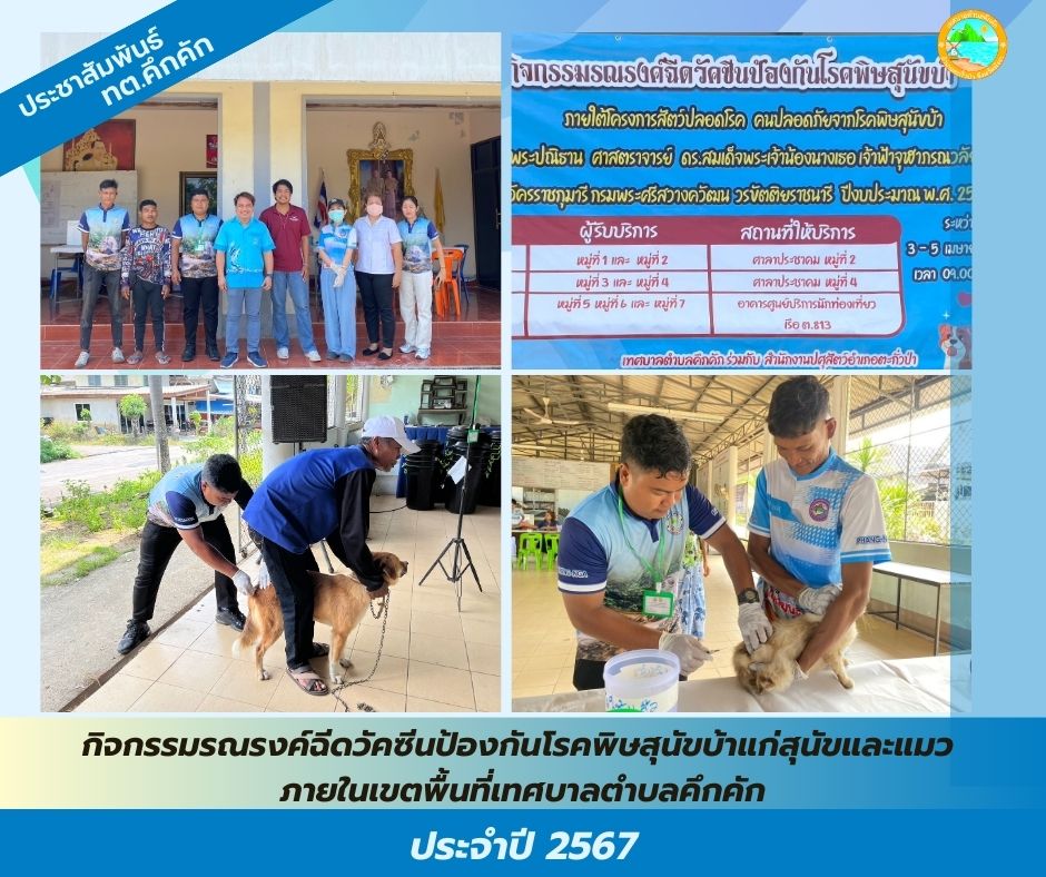 เทศบาลตำบลคึกคัก (กองสาธารณสุขและสิ่งแวดล้อม) ได้ดำเนินกิจกรรมรณรงค์ฉีดวัคซีนป้องกันโรคพิษสุนัขบ้าแก่สุนัขและแมว ภายในเขตพื้นที่เทศบาลตำบลคึกคัก ประจำปี 2567