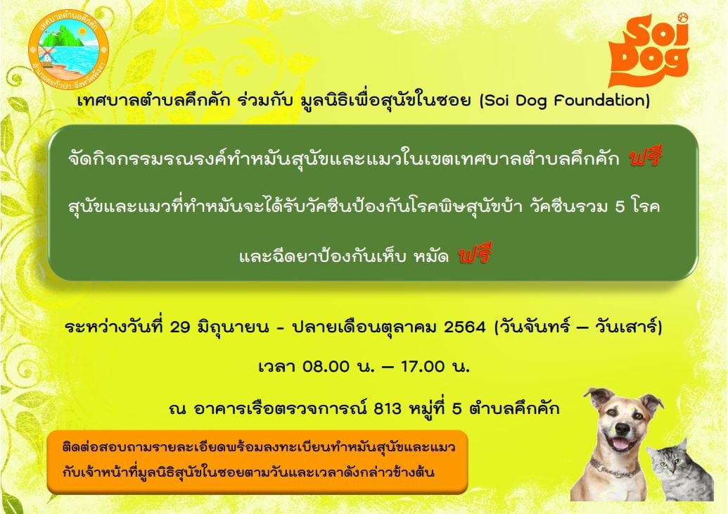 เทศบาลตำบลคึกคัก ร่วมกับ มูลนิธิเพื่อสุนัขในซอย (Soi Dog Foundation) จัดกิจกรรมรณรงค์ทำหมันสุนัขและแมวในเขตเทศบาลตำบลคึกคัก สุนัขและแมวที่มารับบริการทำหมันจะได้รับการฉีดวัคซีนครบ 5 โรค และฉีดยาป้องกันเห็บหมัดจากมูลนิธิเพื่อสุนัขในซอย ฟรีไม่มีค่าใช้จ่าย 👉👉👉ในระหว่างวันที่ 29 มิถุนายน ถึงปลายเดือนตุลาคม พ.ศ. 2564