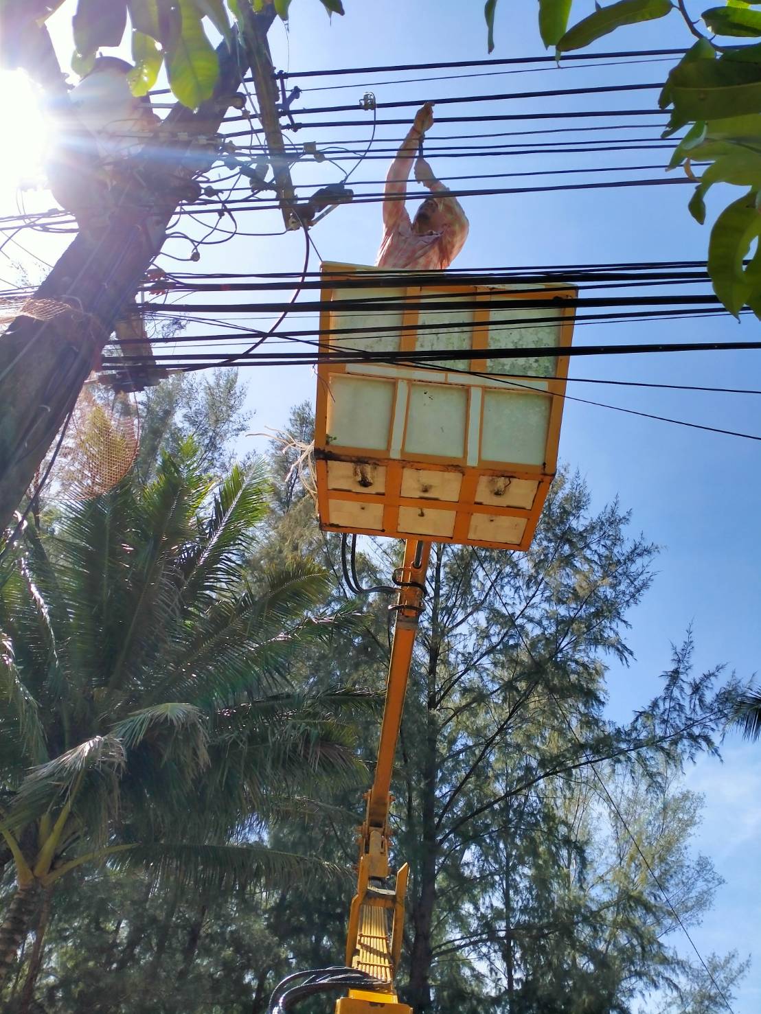 เทศบาลตำบลคึกคัก (กองช่าง งานไฟฟ้า) ดำเนินการจ้ำสายหางดับ สาย N สาย L แรงต่ำ เนื่องจากสายไฟขึ้นคราบแห้งกรัง และต้นไม้ล้มทับสายไฟขาด ซอย ปะการังอัปสรา หมู่ที่ 2 ตำบลคึกคัก อำเภอตะกั่วป่า จังหวัดพังง