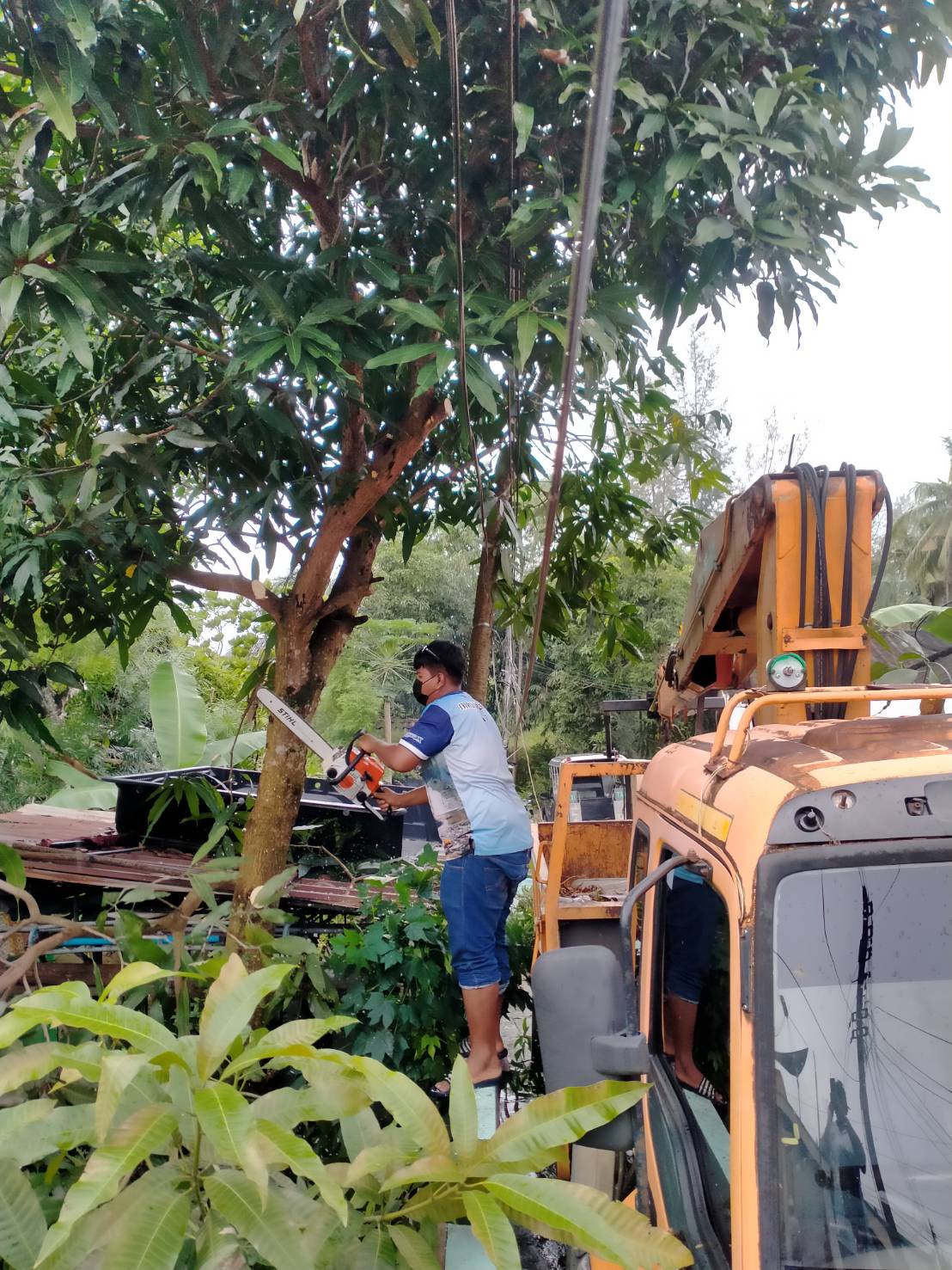 เทศบาลตำบลคึกคัก(งานป้องกันและบรรเทาสาธารณภัย) ได้ดำเนินการตัดไม้บริเวณบางเนียง หมู่ที่ 5ตำบลคึกคัก อำเภอตะกั่วป่า จังหวัดพังงา