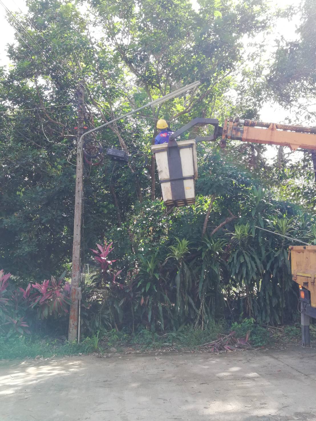 เทศบาลตำบลคึกคัก (กองช่าง งานไฟฟ้า )ได้ดำเนินการซ่อมและเปลี่ยนอุปกรณ์ไฟฟ้าโคมไฟถนน ซอยเขาวง หมู่ที่ 3 ตำบลคึกคัก อำเภอตะกั่วป่า จังหวัดพังงา