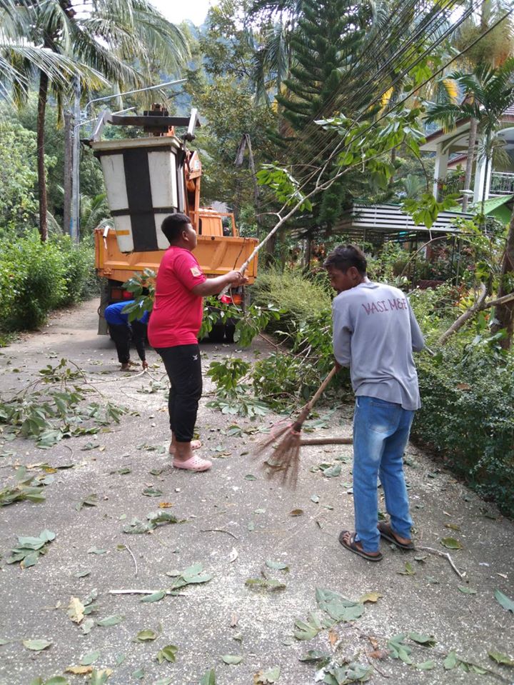 เทศบาลตำบลคึกคัก (งานป้องกันและบรรเทาสาธารณภัย) ดำเนินการตัดไม้หมู่ที่ 2หมู่ที่ 4 และหมู่ที่ 7ตำบลคึกคัก อำเภอตะกั่วป่า จังหวัดพังงา 